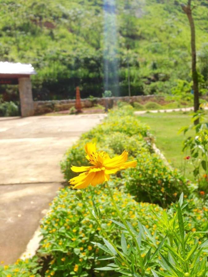 Diem Dung Chan Can Ty Hà Giang Zewnętrze zdjęcie