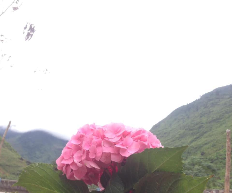 Diem Dung Chan Can Ty Hà Giang Zewnętrze zdjęcie
